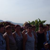Vinobraní 2011