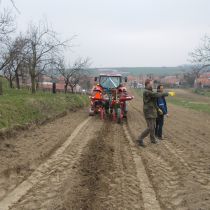 Výsadba vinice nad sklepem